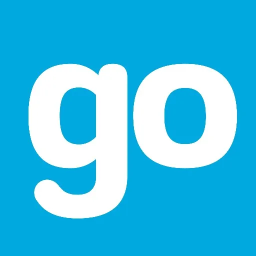 govibes avatar
